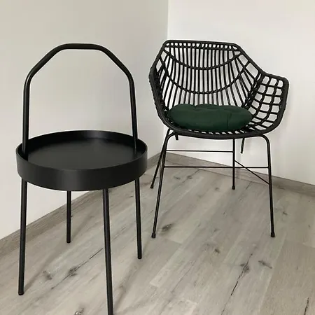 Apartment Kamienica Nad Malta- Mieszkania Nad Jeziorem Maltanskim