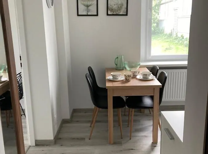 Kamienica Nad Malta- Mieszkania Nad Jeziorem Maltanskim Appartement *